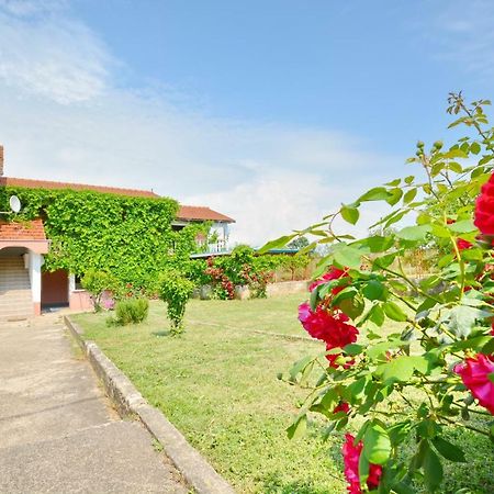 Apartmani Maca Sikovo 외부 사진